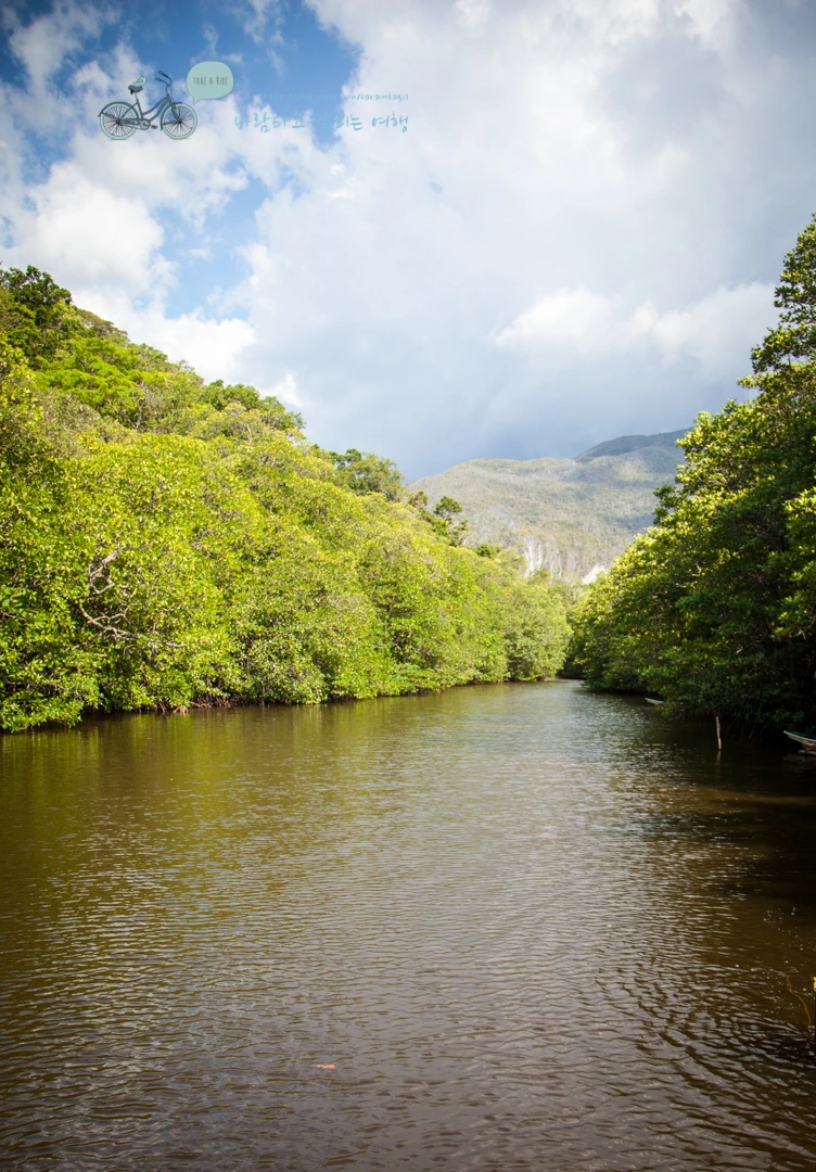 IMG_2247_Wide1080mark%EB%B0%94%EB%9E%8C%ED%83%80%EA%B3%A0.jpg?type=w773