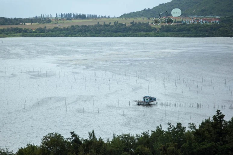 IMG_1534_wide1080%EB%B0%94%EB%9E%8Cmark.jpg?type=w773