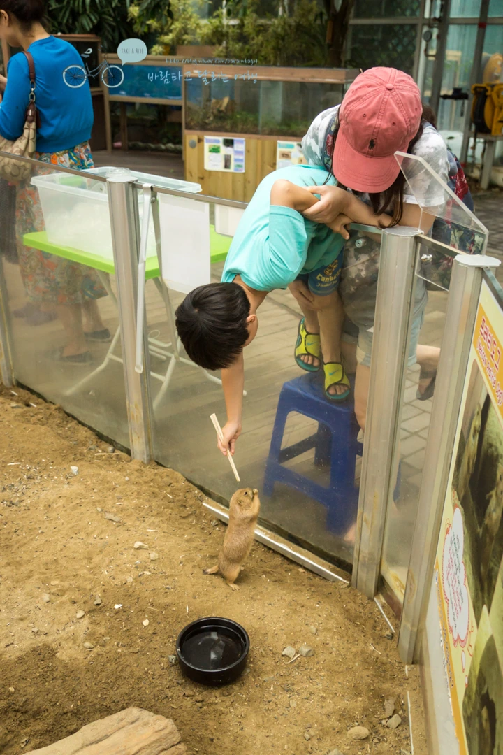 DSC03669_wide1080mark.jpg?type=w773