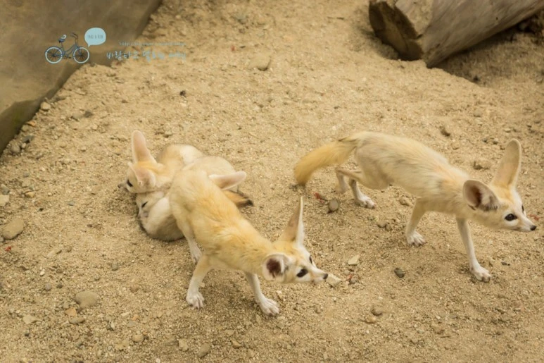 DSC03613_wide1080mark.jpg?type=w773