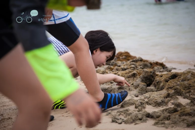 IMG_1723_Wide1080mark%EB%B0%94%EB%9E%8C%ED%83%80%EA%B3%A0.jpg?type=w773