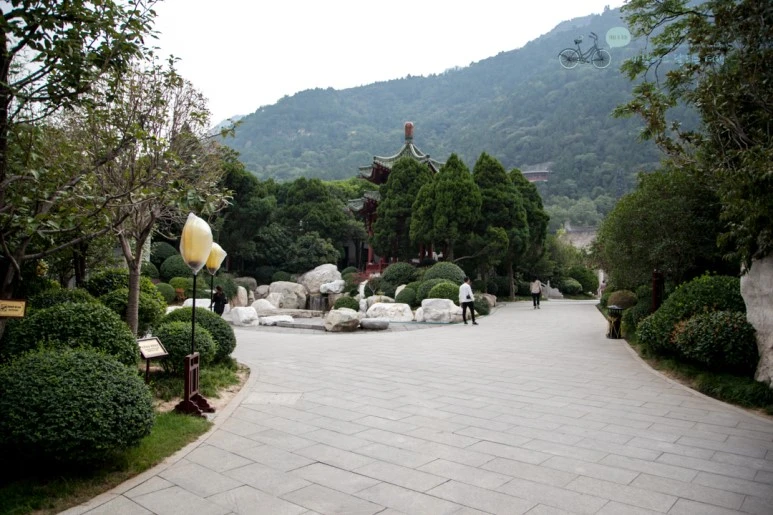 IMG_0202_Wide1080mark%EB%B0%94%EB%9E%8C.jpg?type=w773