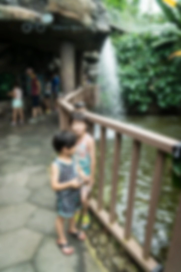 image_3343054641479184954539.jpg?type=w773