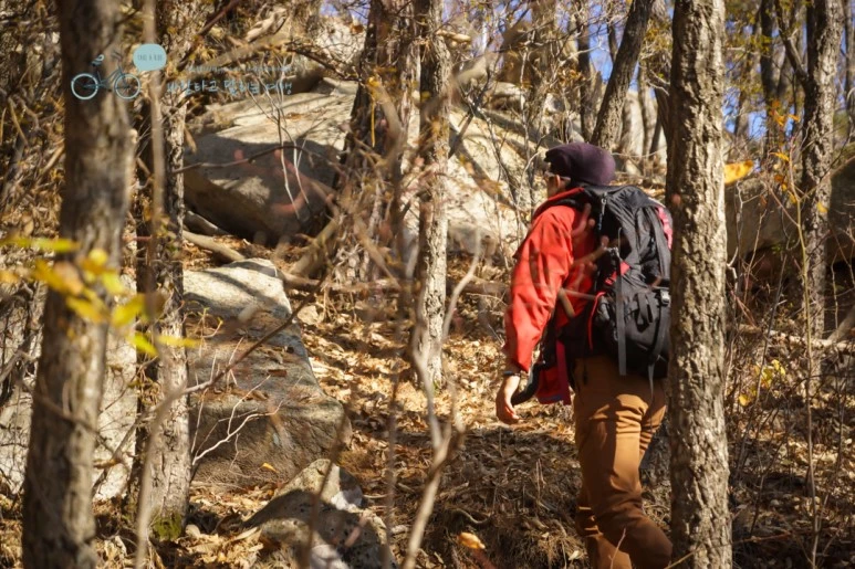 DSC05875_wide1080mark.jpg?type=w773