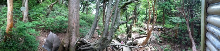 IMG_1463_wide1080.jpg?type=w773