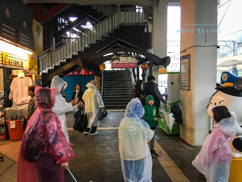 iPhone_IMG_3788_Short1200mark%EB%B0%94%EB%9E%8C.jpg?type=w773