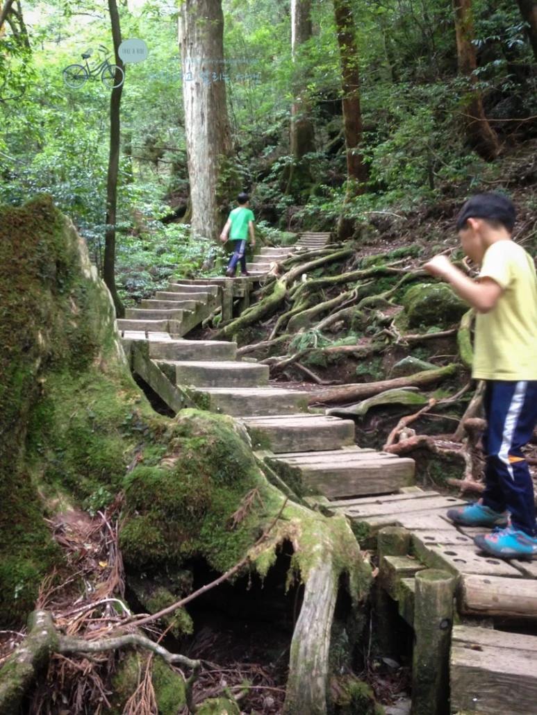 IMG_1339_wide1080.jpg?type=w773