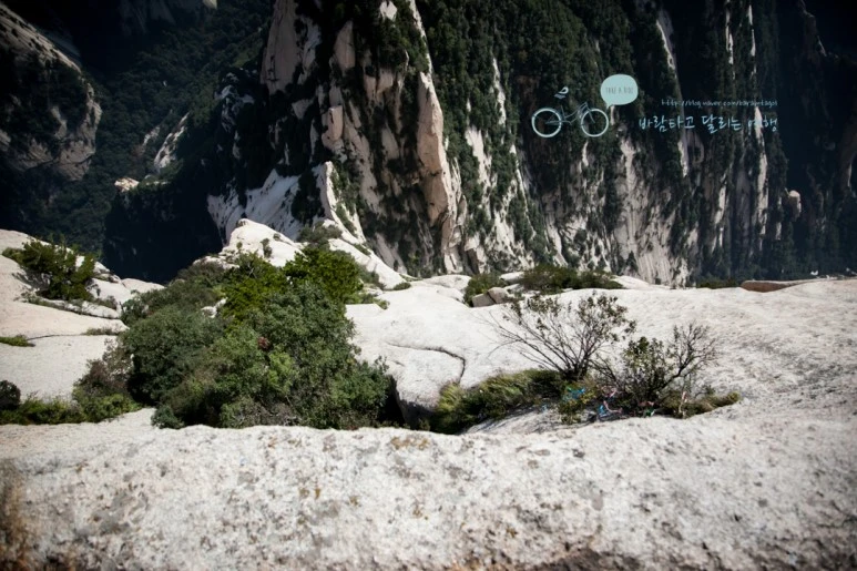 IMG_0277_Wide1080_mark%EB%B0%94%EB%9E%8C.jpg?type=w773