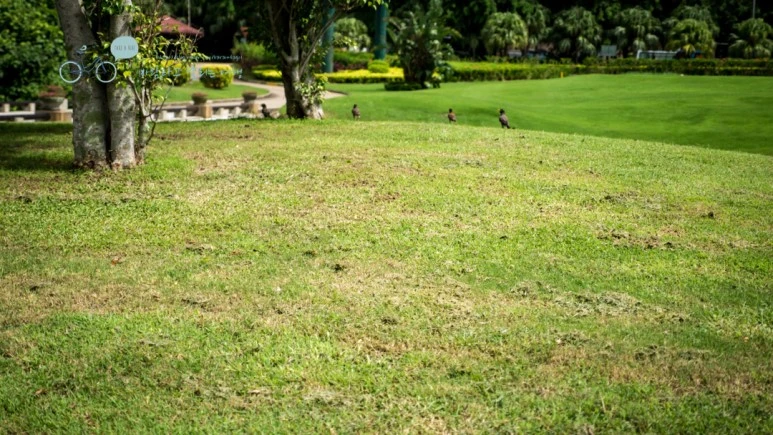 _1020181_Edit_Wide1080mark_%EB%B0%94%EB%9E%8C.jpg?type=w773