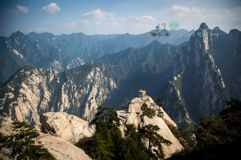 IMG_0307_Wide1080_mark%EB%B0%94%EB%9E%8C.jpg?type=w773