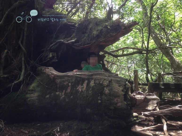 image_9855558191486446636512.jpg?type=w773