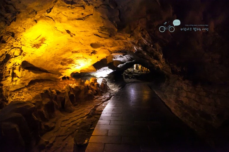 IMG_1111_Wide1080mark%EB%B0%94%EB%9E%8C.jpg?type=w773