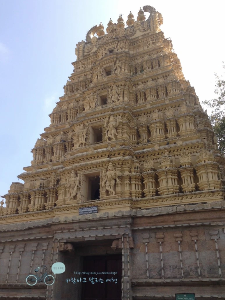 IMG_2832.jpg?type=w773