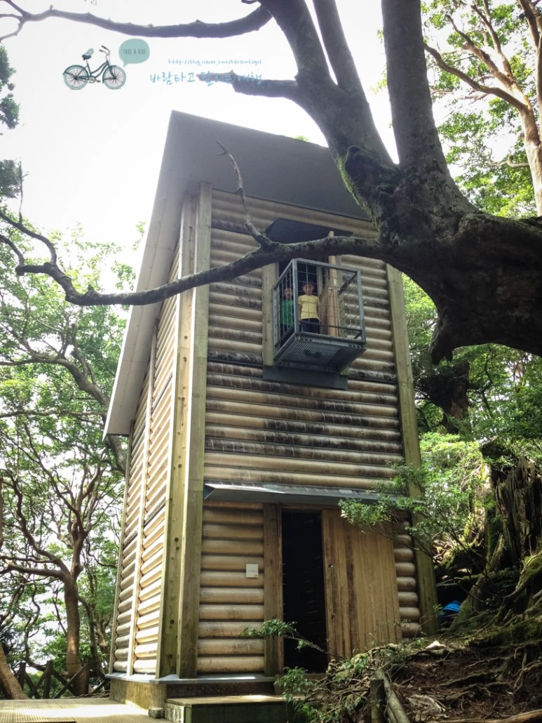 IMG_7974_wide1080mark.jpg?type=w773