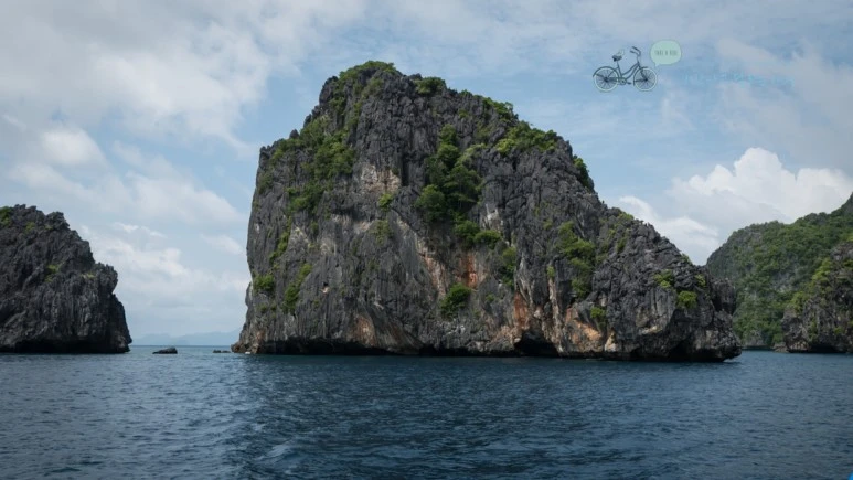 _1020379_Wide1080mark.jpg?type=w773