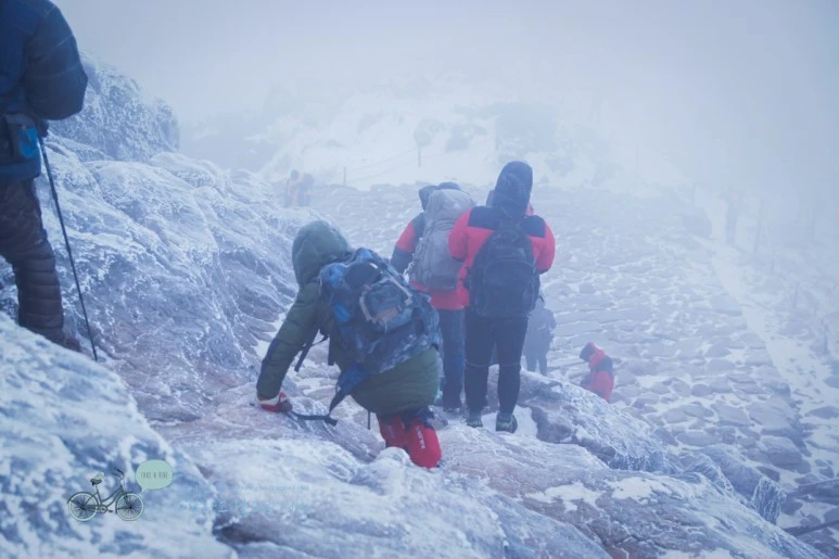 DSC00259.jpg?type=w773