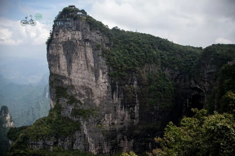 IMG_0429_Wide1080mark%EB%B0%94%EB%9E%8C.jpg?type=w773