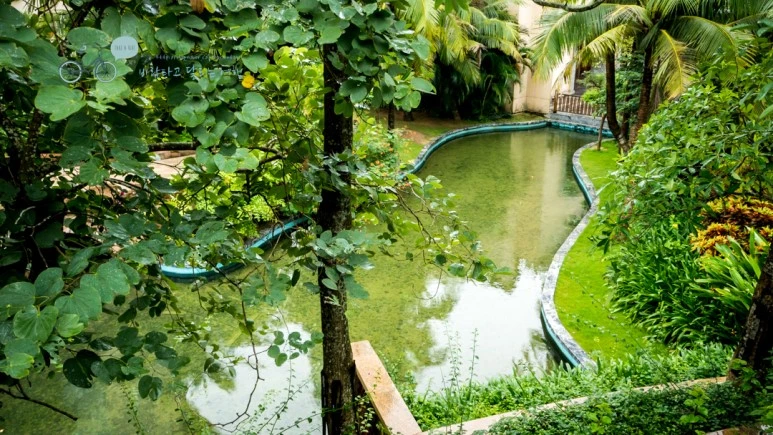 _1000579_wide1080_Wide1080mark_%EB%B0%94%EB%9E%8C.jpg?type=w773