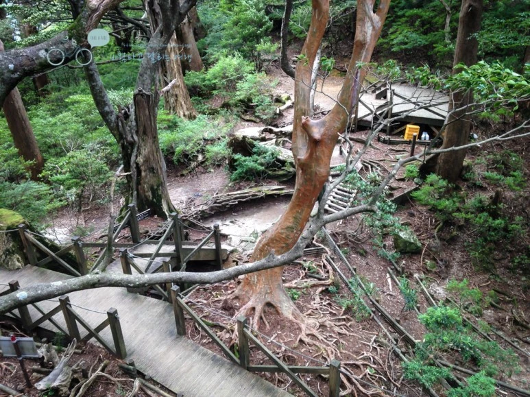 IMG_1462_wide1080.jpg?type=w773