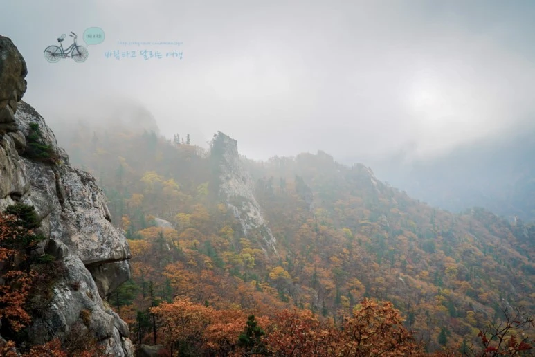 DSC00605_wide1080mark.jpg?type=w773