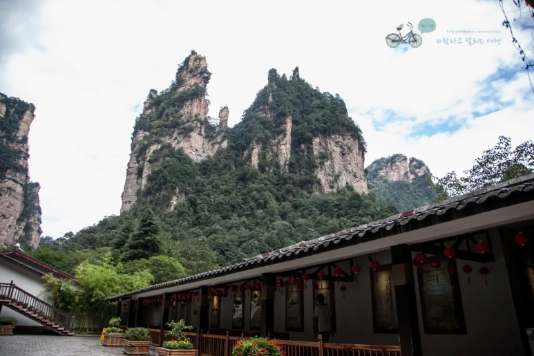 IMG_1420_Wide1080mark%EB%B0%94%EB%9E%8C.jpg?type=w773