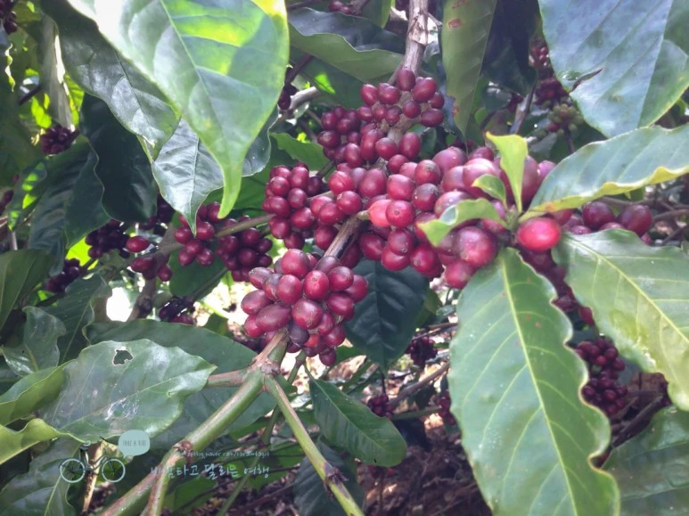 IMG_2819.jpg?type=w773