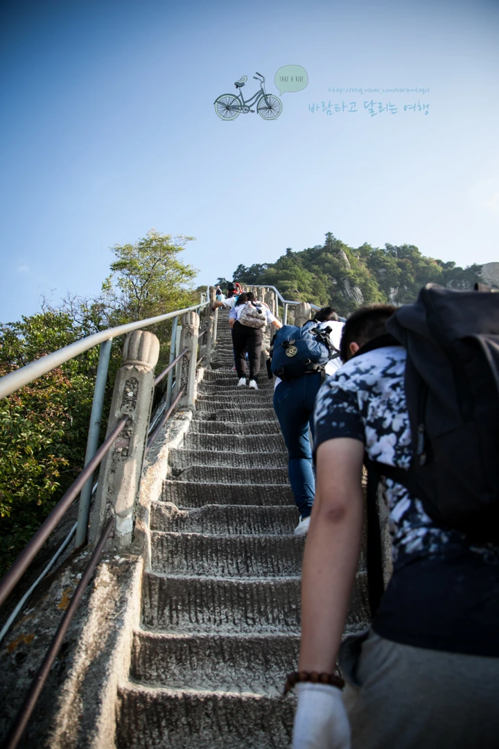 IMG_0381_Wide1080_mark%EB%B0%94%EB%9E%8C.jpg?type=w773