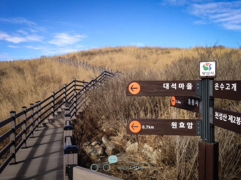 IMG_1540-_Wide1080mark.jpg?type=w773