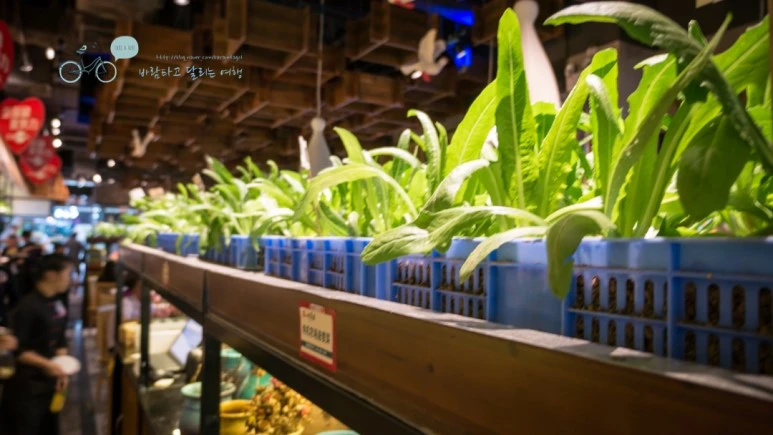 _1050372_wide1080mark.jpg?type=w773