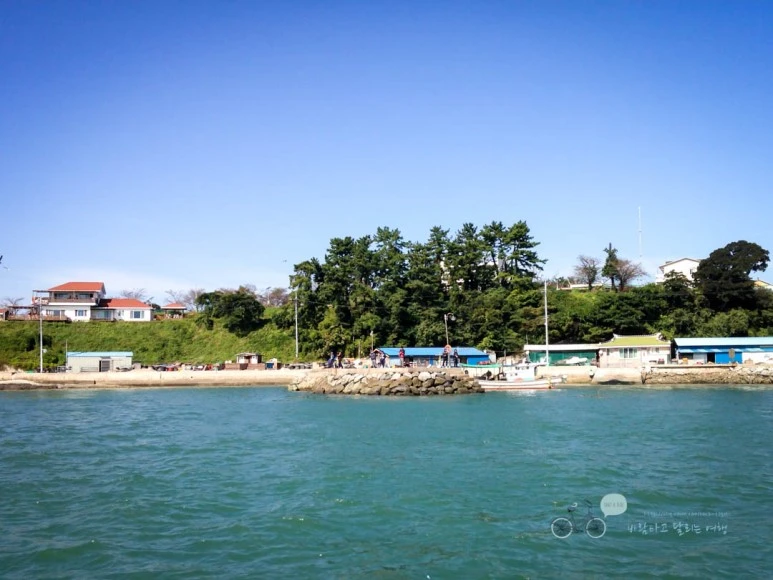 IMG_0974-_Wide1080mark%EB%B0%94%EB%9E%8C.jpg?type=w773