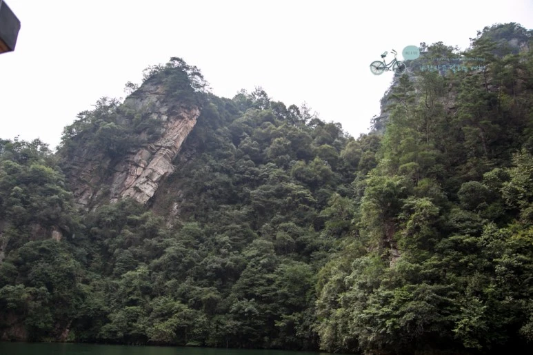 IMG_1321_Wide1080mark%EB%B0%94%EB%9E%8C.jpg?type=w773