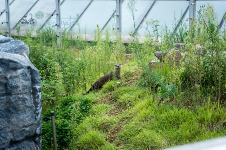 DSC03844_Wide1080.jpg?type=w773