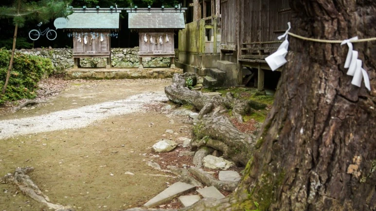 DSC01613_wide1080mark.jpg?type=w773