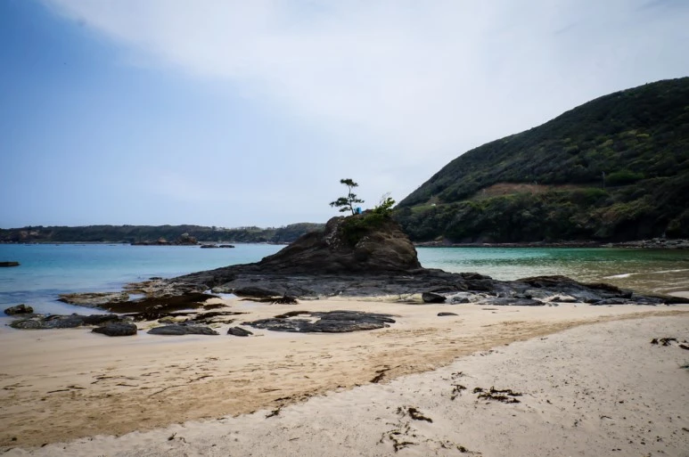 DSC08024_wide1080.jpg?type=w773