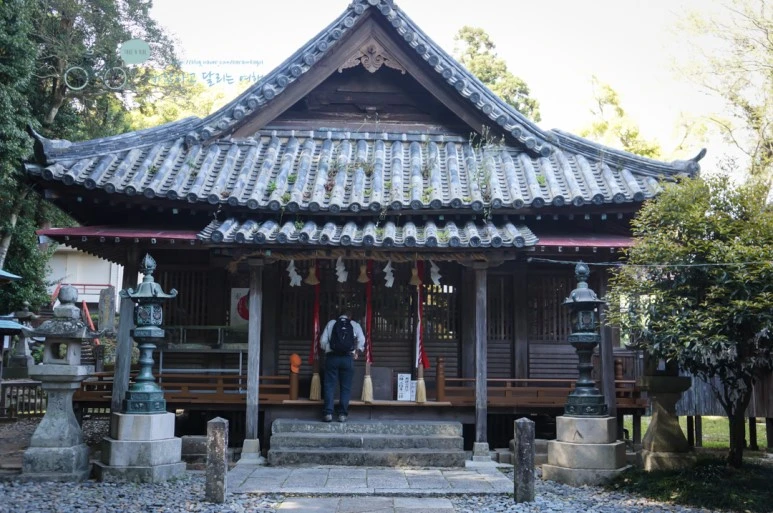 DSC07948_wide1080mark.jpg?type=w773