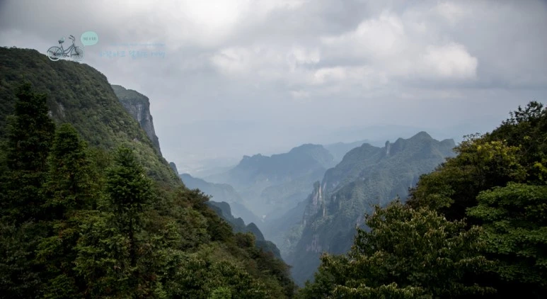 image_609059251525245525665.jpg?type=w773