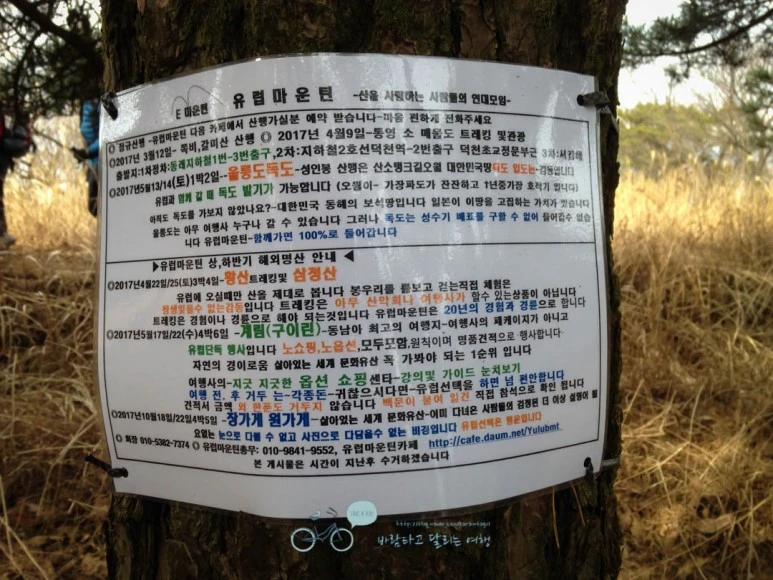 IMG_1293-_Wide1080mark%EB%B0%94%EB%9E%8C.jpg?type=w773