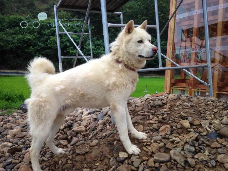 IMG_0634_Wide1080mark.jpg?type=w773