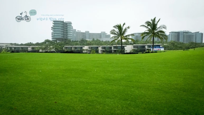 _1000210_wide1080_Wide1080mark_%EB%B0%94%EB%9E%8C.jpg?type=w773