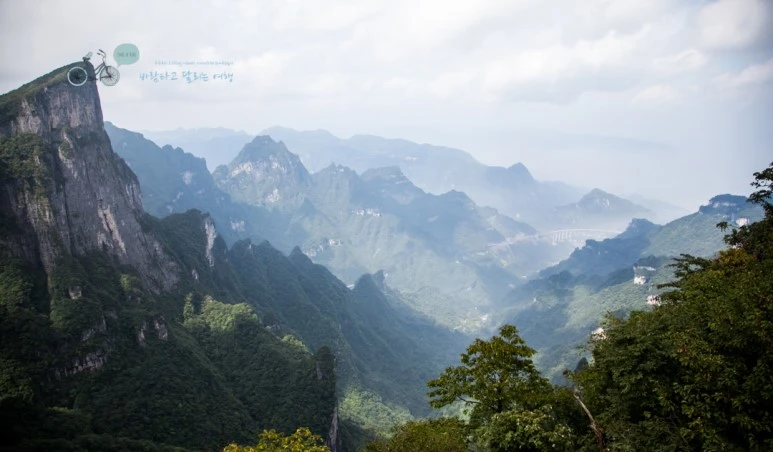 image_5672574161525238110337.jpg?type=w773