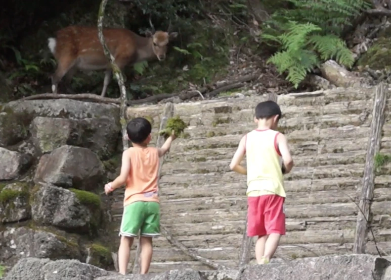 %EC%8A%A4%ED%81%AC%EB%A6%B0%EC%83%B7_2017-02-03_11.26.12.png?type=w773