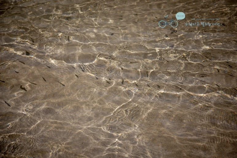 IMG_2080_Wide1080mark%EB%B0%94%EB%9E%8C%ED%83%80%EA%B3%A0.jpg?type=w773