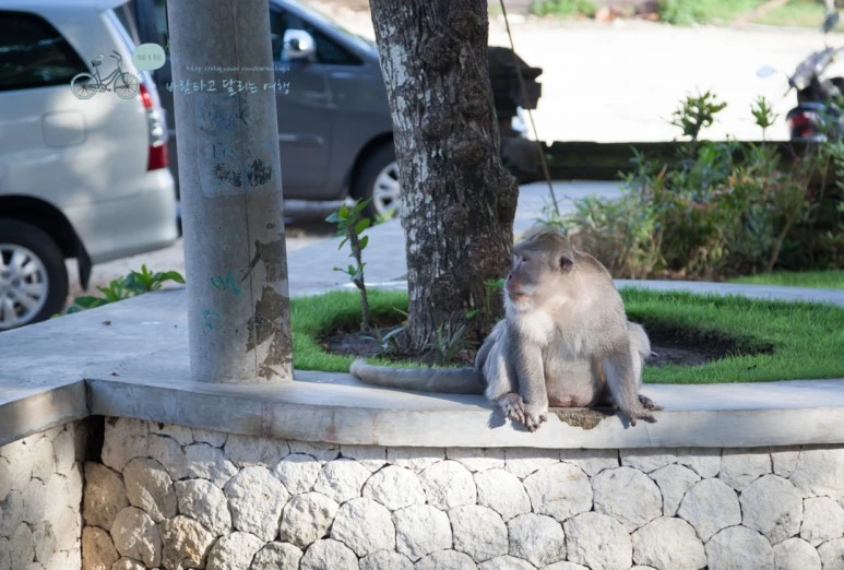 IMG_0544_Wide1080mark%EB%B0%94%EB%9E%8C%ED%83%80%EA%B3%A0-2.jpg?type=w773