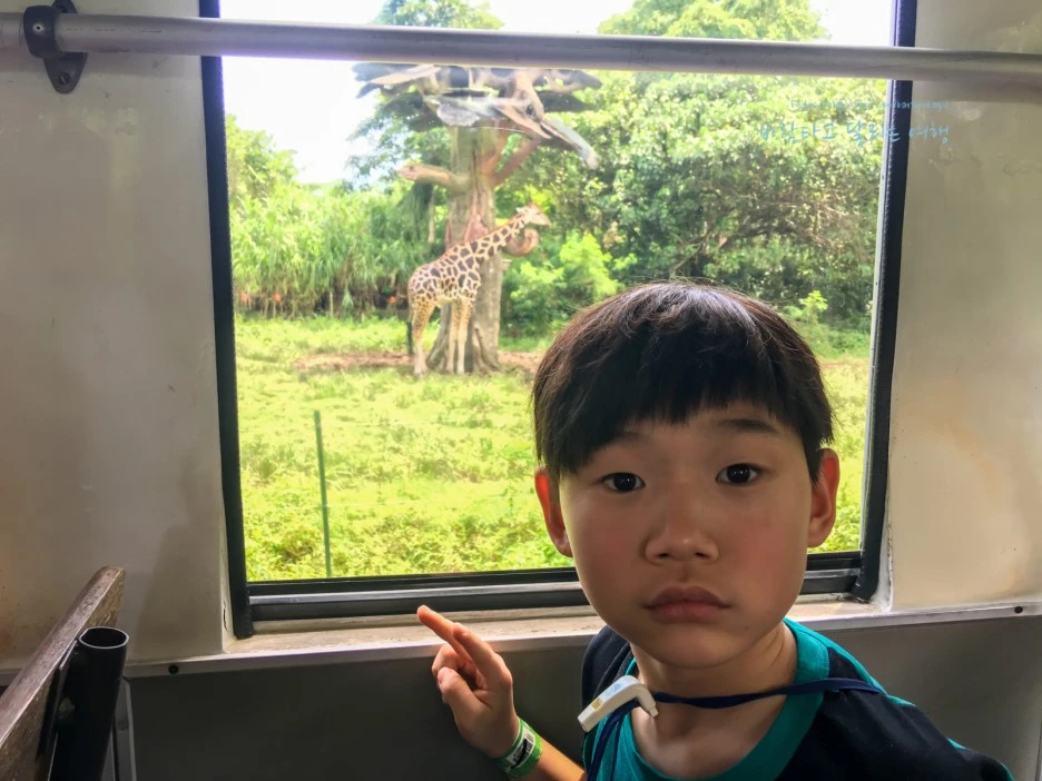 iPhone_IMG_4133_Short1200mark%EB%B0%94%EB%9E%8C.jpg?type=w1