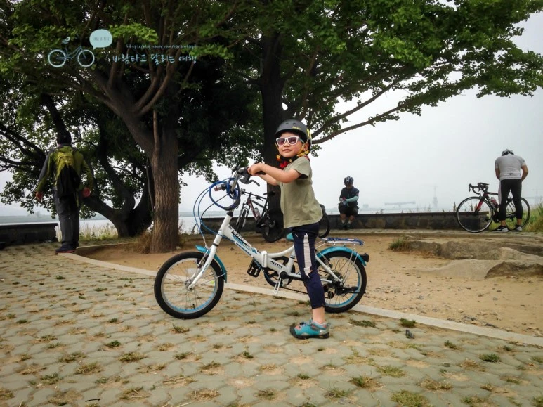 IMG_0964_wide1080mark.jpg?type=w773