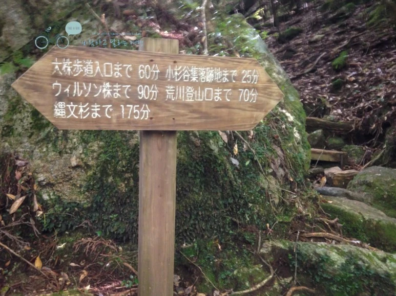 IMG_1281_wide1080.jpg?type=w773