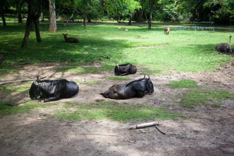 5D_IMG_2705_Short1200mark%EB%B0%94%EB%9E%8C.jpg?type=w1