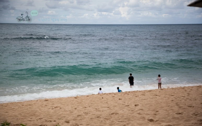 IMG_0211_Wide1080mark%EB%B0%94%EB%9E%8C%ED%83%80%EA%B3%A0-3.jpg?type=w773