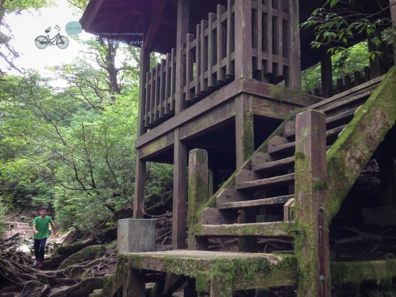 IMG_1477_wide1080.jpg?type=w773