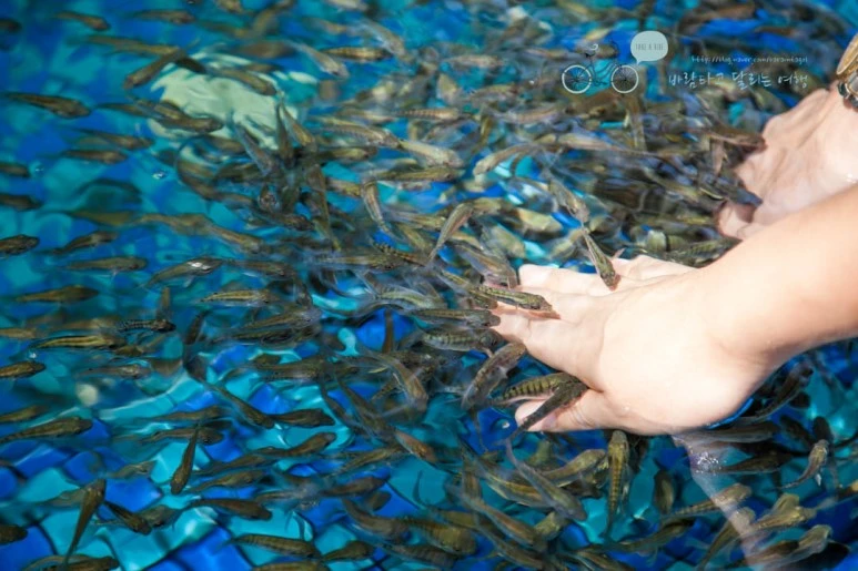 IMG_0520_wide1080%EB%B0%94%EB%9E%8Cmark.jpg?type=w773